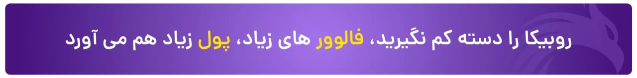 فالوور روبینو